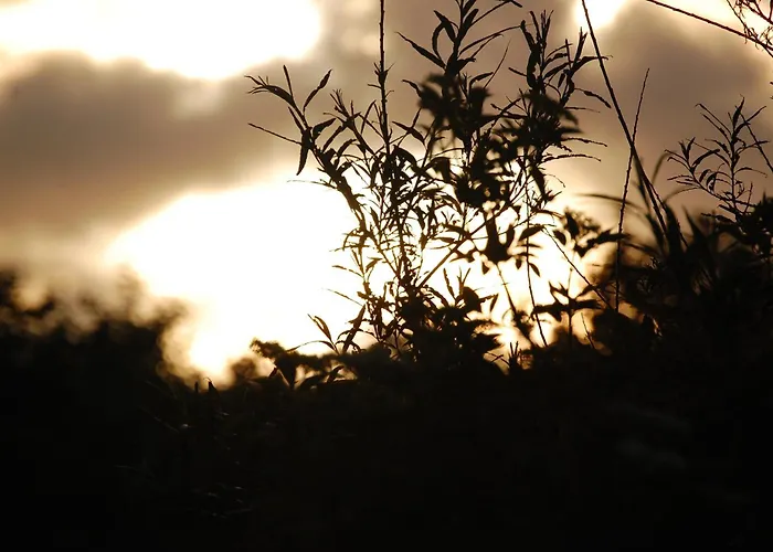 Deichwohnung Strandweg 7 Lägenhet